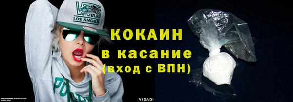 индика Балабаново