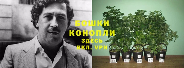 Альфа ПВП Осинники