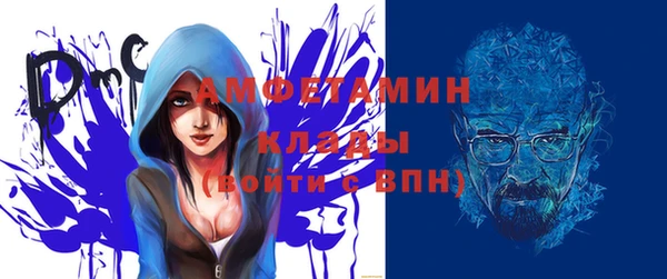 индика Балабаново